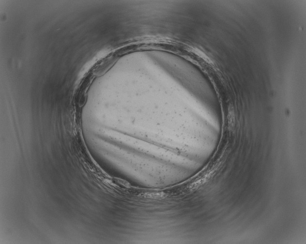 X0000068311310200605051520