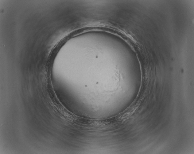 X0000068311311200605051520