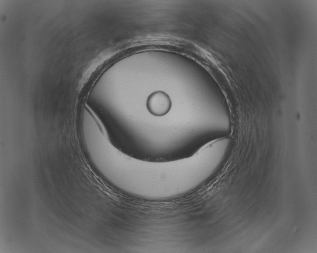 X0000068311312200605051520