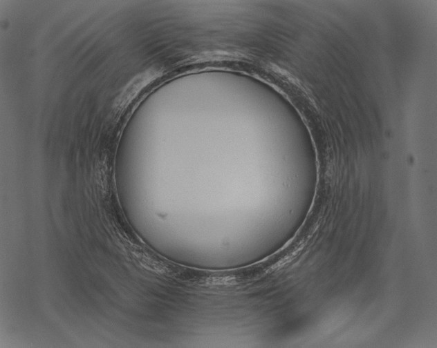 X0000068311313200605051520