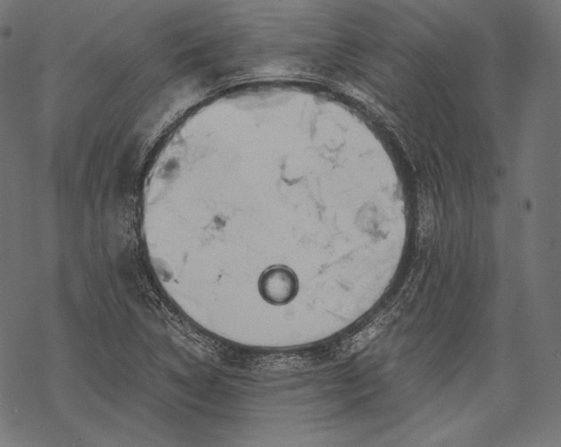 X0000068311314200605051520