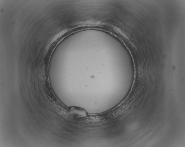 X0000068311315200605051520