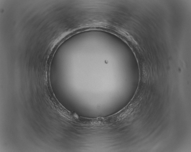 X0000068311316200605051521