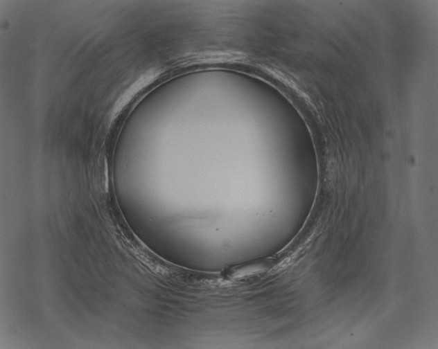 X0000068311317200605051521