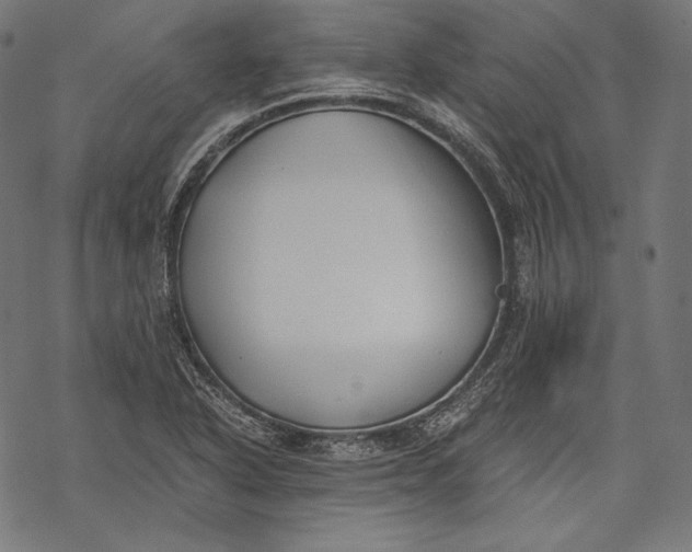 X0000068311318200605051521