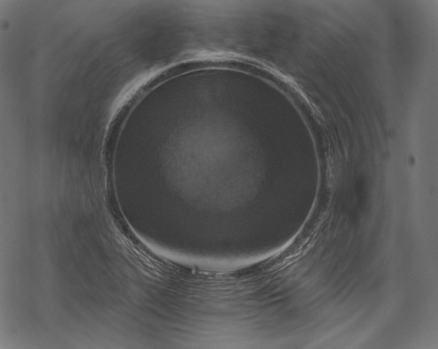 X0000068311319200605051521