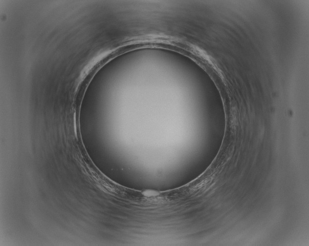 X0000068311320200605051521