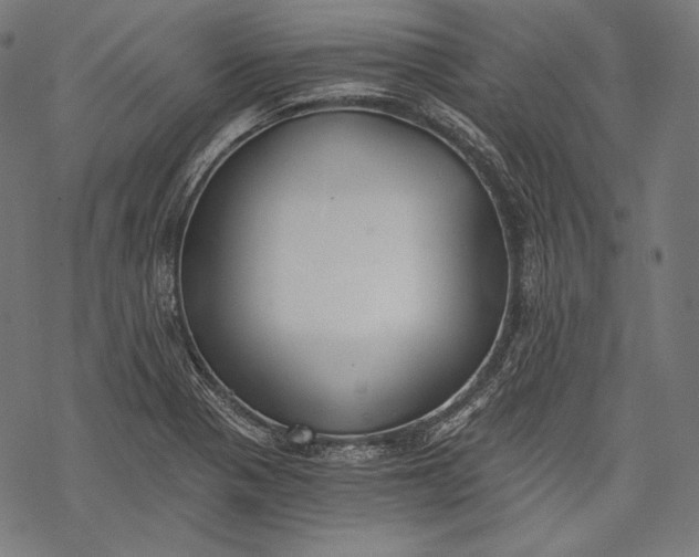 X0000068311321200605051521