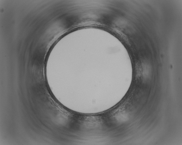 X0000068311322200605051521