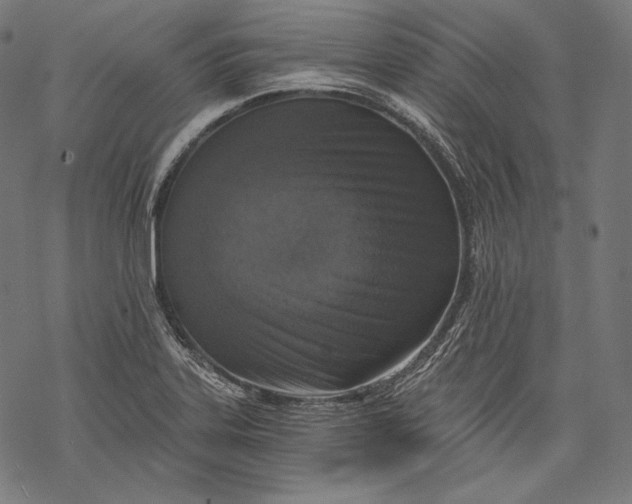 X0000068311323200605051521