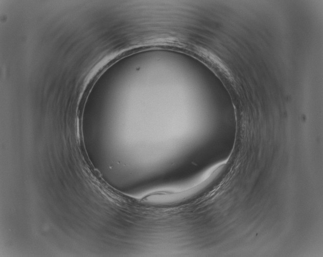 X0000068311324200605051521