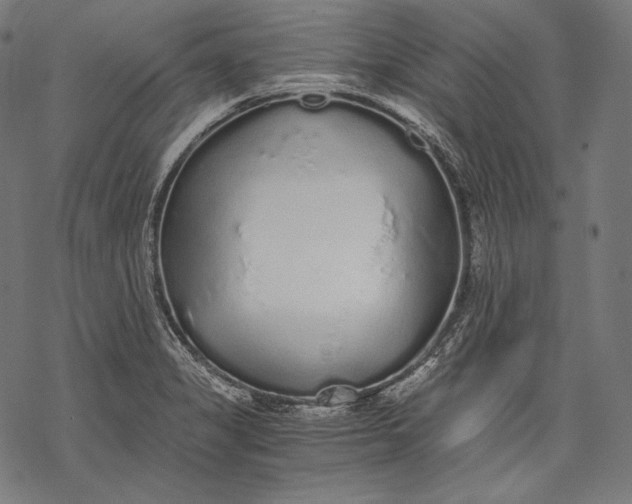 X0000068311325200605051521