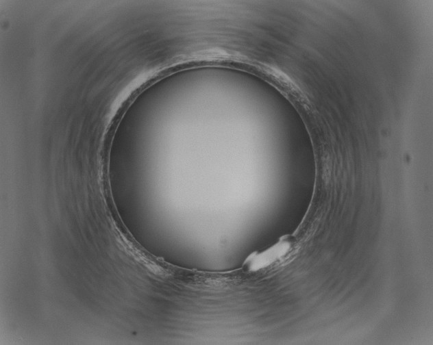 X0000068311326200605051521