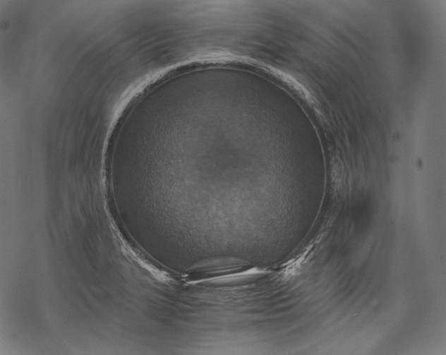 X0000068311327200605051521