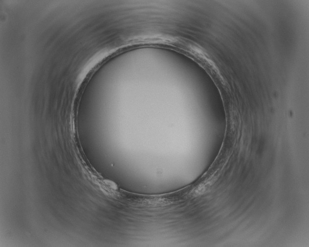 X0000068311328200605051521