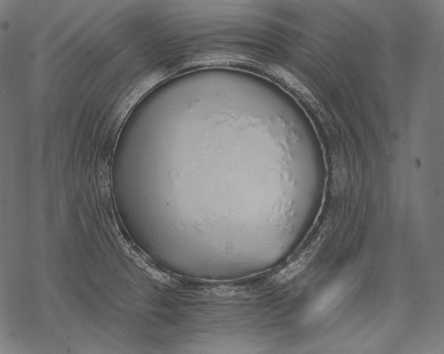 X0000068311329200605051521