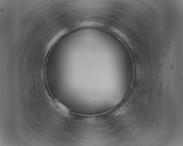 X0000068311330200605051521