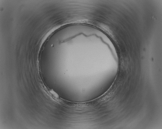 X0000068311332200605051521