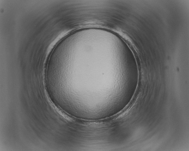 X0000068311333200605051521