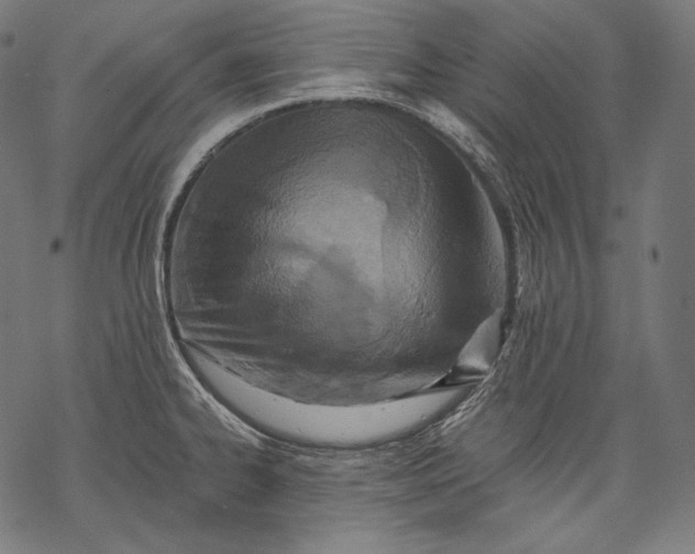 X0000068311334200605051521