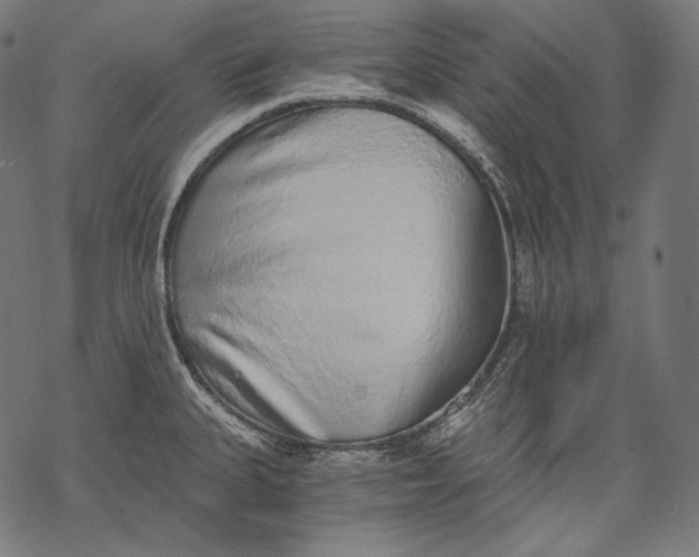 X0000068311335200605051521