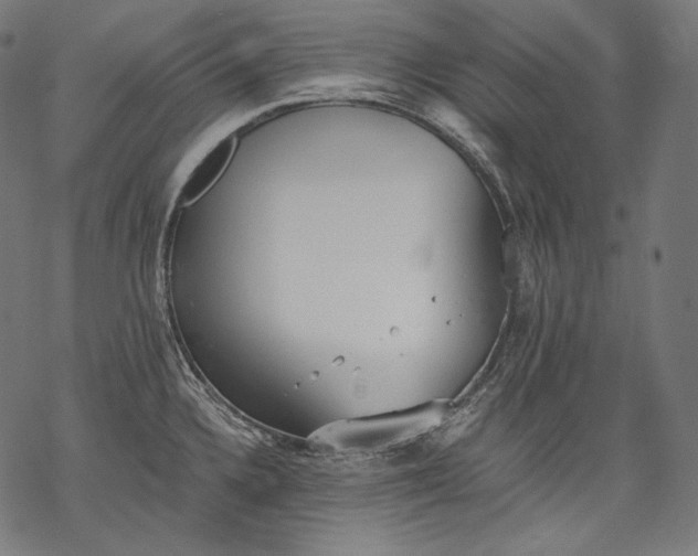 X0000068311336200605051521