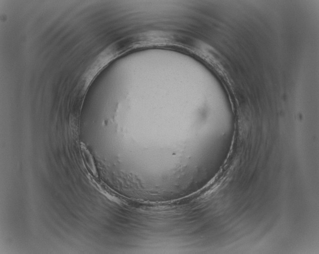 X0000068311337200605051521