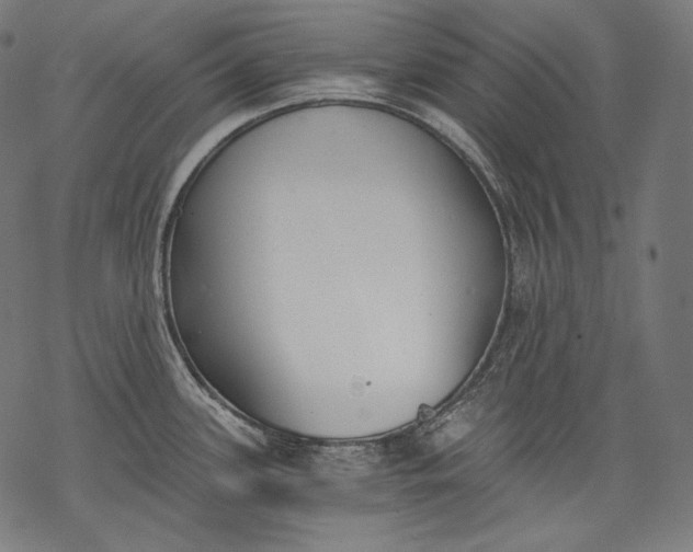 X0000068311339200605051521