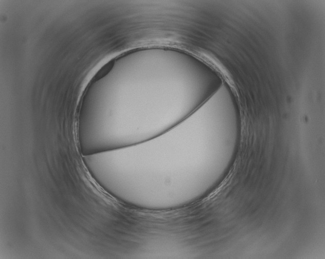 X0000068311340200605051521