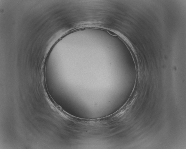 X0000068311341200605051521