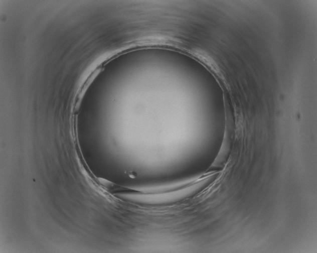 X0000068311342200605051521