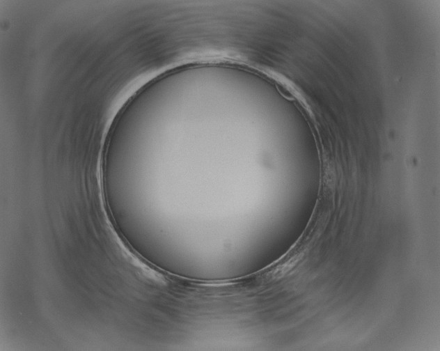 X0000068311343200605051521