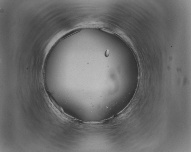 X0000068311344200605051521