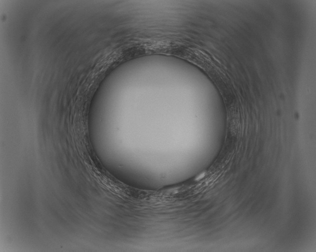 X0000068311345200605051520