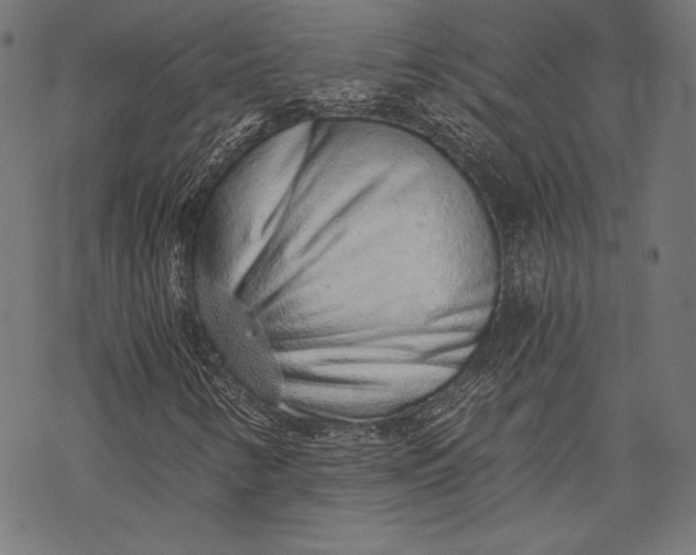 X0000068311346200605051520