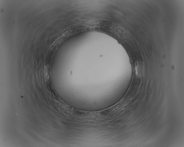 X0000068311347200605051520