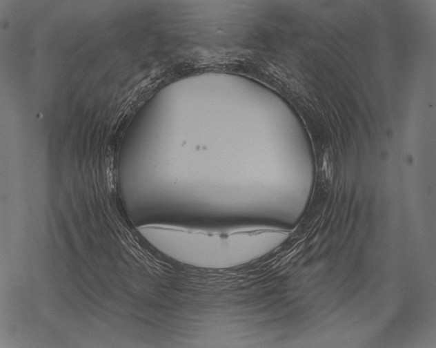 X0000068311348200605051520