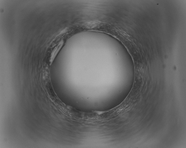 X0000068311349200605051520