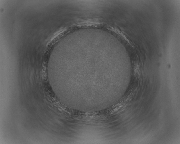 X0000068311350200605051520