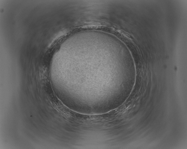 X0000068311351200605051520