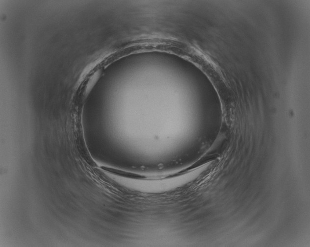 X0000068311352200605051520