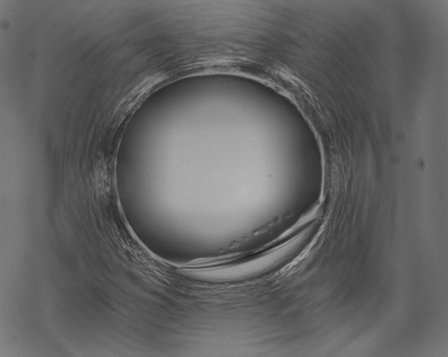 X0000068311353200605051520