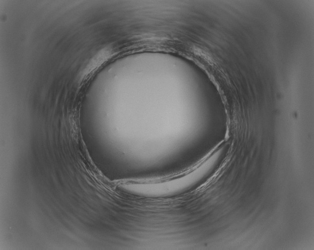 X0000068311354200605051520