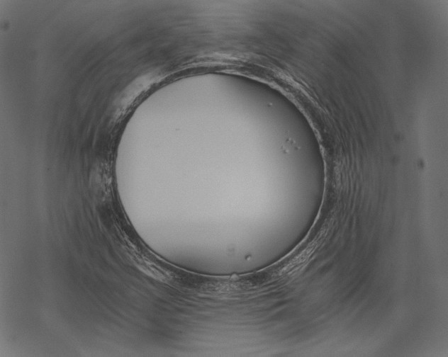 X0000068311355200605051520