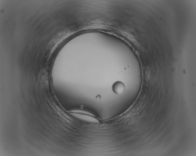 X0000068311356200605051520