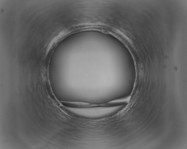 X0000068311357200605051520