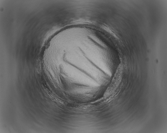 X0000068311358200605051520