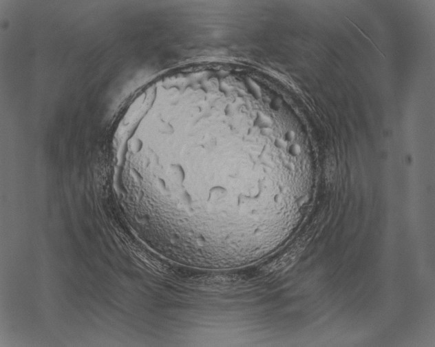 X0000068311359200605051520