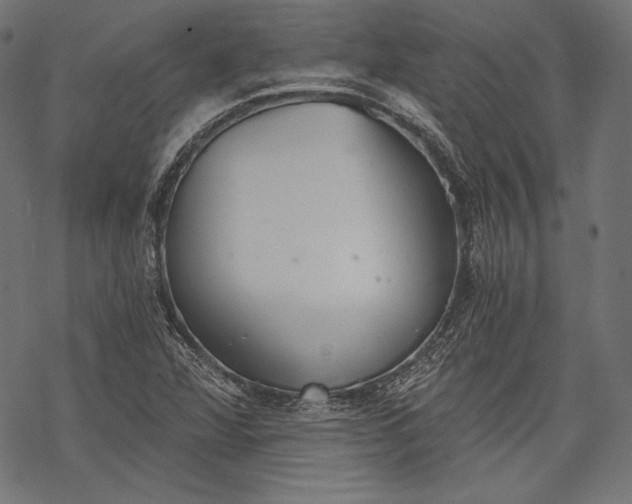 X0000068311360200605051520