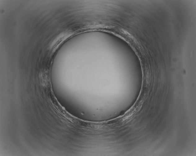 X0000068311361200605051520